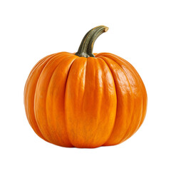 Obraz premium pumpkin isolated on white