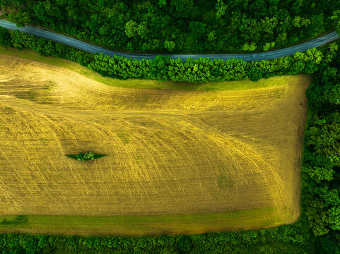 Aerial drone view of a field showing the paths during heavy rainfall as it washed across the field, Looser, Lower Austria, Austria.