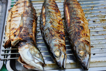 Grilled Mackerel on cooling rack