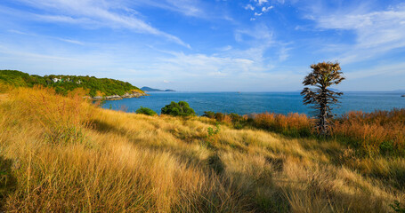 Grassy area on Promthep Cape, the southernmost point of Phuket island in the Andaman Sea, Thailand, Southeast Asia