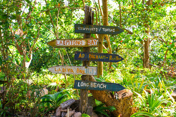 Multiple destinations sign pole in the forest of Koh Phi Phi island in the Andaman Sea, Province of Krabi, Thailand