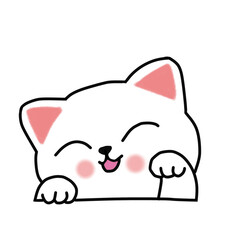 cat and mouse