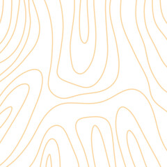 Topography Lines Abstract