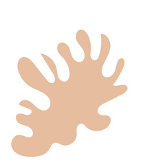 Boho Neutral Abstract Shapes 