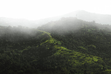 Foggy green mountain landscape after a rainy day from puerto rico country side