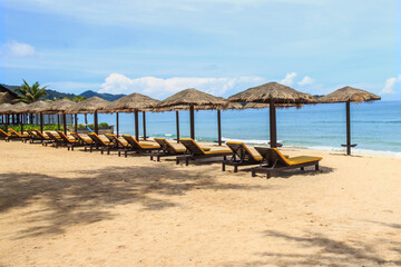 Row of beach parasols and chairs