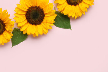 Beautiful sunflowers with leaves on lilac background