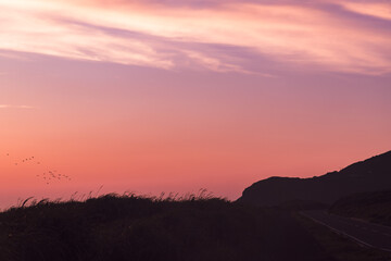 南原千畳岩海岸から望む夕焼け空を飛ぶ鳥の大群