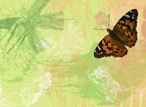 Illustrated abstraction page with a butterfly. Background. Summer grassy mottled abstract meadow motif with admiral butterfly.