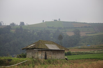 Misty morning at brakseng hills Cangar Indonesia 