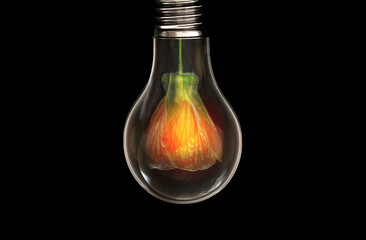 flower in light bulb