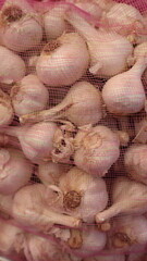 fresh garlic