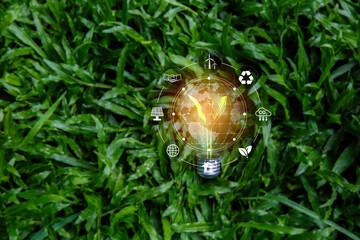 light bulb on green grass nature, eco friendly energy. Innovation technology eco energy concept. light bulb energy sources for renewable. Concept with innovation inspiration. Idea innovative..