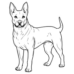 Dog, illustration, Vector, Pet, Thai ridgeback