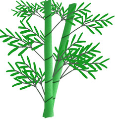 Fototapeta premium bamboo isolated on white background