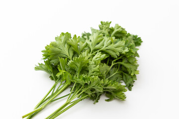 白背景にイタリアンパセリ