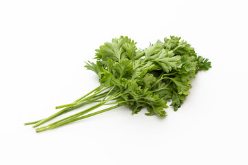 白背景にイタリアンパセリ