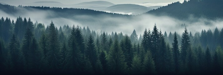 Dark fog and mist over a moody forest landscape. Mountain fir trees with dreary dreamy weather. Blues and greens. © Fox Ave Designs