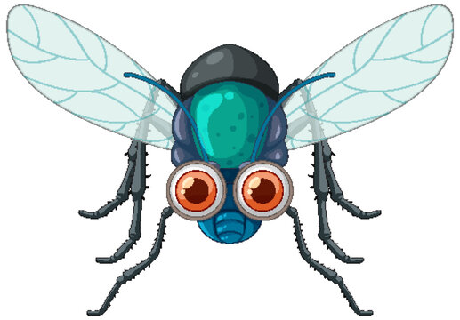 Happy fly cartoon character