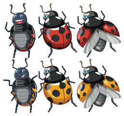 Set of ladybug cartoon character