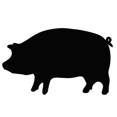 illustration of a pig