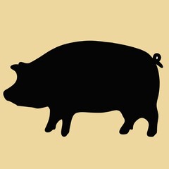 illustration of a pig
