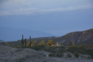 Fototapeta na wymiar atardecer en la montaña de los valles calchaquies con cactus
