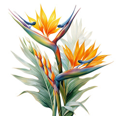 Bird of Paradise flowers, Generative AI