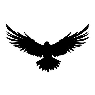 recommend clip art: Silhouette of a raven on a white background, vector illustration.