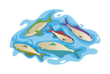 dead fish floating on surface because pollution of water	