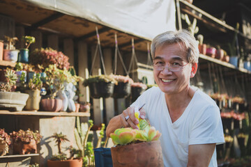 asian senior man toothy smile with happiness face holding succulent plant in hand