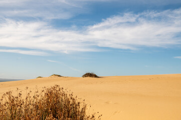 Fototapeta na wymiar Dunes of the Cabo Polonia National Park in the Department of Rocha in Uruguay.