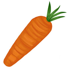carrot isolated on transparent background