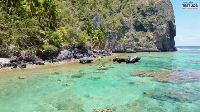 Aerial view of beautiful Paradise with clear water,rocky coastline and tropical trees in summer - Dominican Republic, Playa Fronton