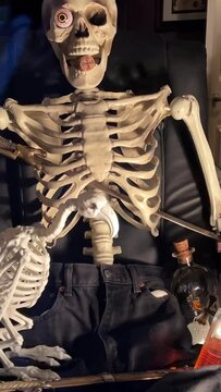 The skeleton is sitting on a chair he has an inserted eye he is looking out the window holding a bottle of rum