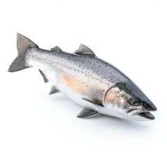 Fototapeta premium Salmon fish on white background. 3D illustration digital art design, generative AI