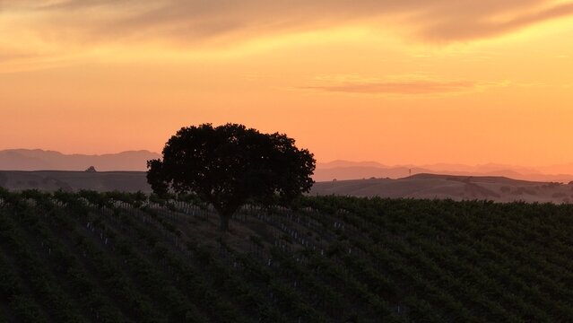 Farm Sunsets