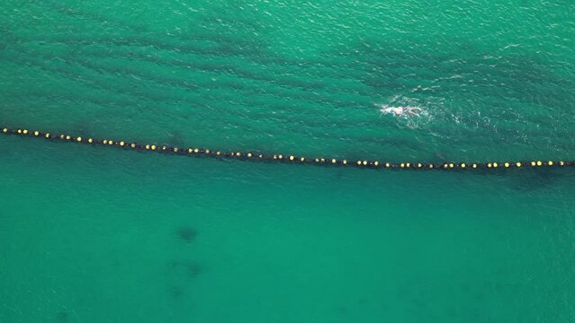 Drone birds eye of sportive swimmer in sea along protective buoy net in Western Australia - Protection against shark attack