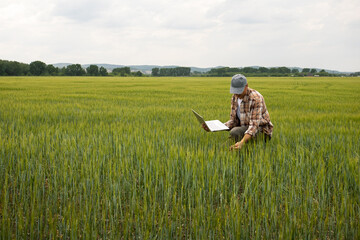man farmer working digital laptop wheat field, agriculture, summer season.