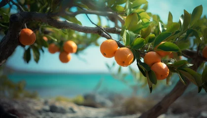 Foto op Plexiglas Freshness of summer, citrus fruit on tree, healthy eating in nature generated by AI © grgroup