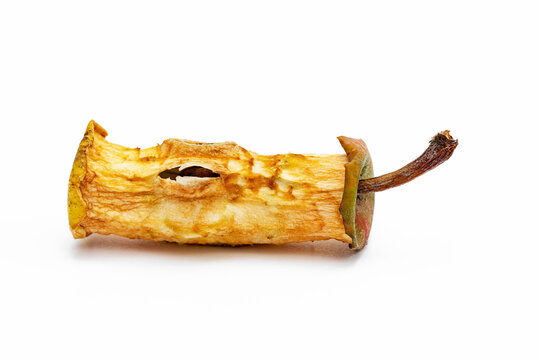 Apfelkern
