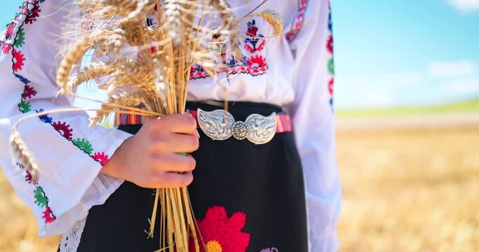 Girl in traditional ethnic folklore costume with Bulgarian embroidery and silver belt buckle standing on a harvest golden wheat field