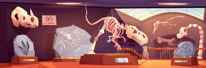 Fossil dinosaur skeletons in museum of history, archaeology and paleontology science. Prehistoric museum interior with exhibits of ancient animals bones and dino footprint, vector cartoon illustration - obrazy, fototapety, plakaty