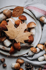 Wooden tray with forest mushrooms and autumn dry leaf closeup.
