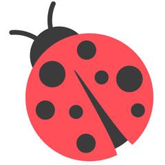Obraz premium Cute Red Ladybug Top View Vector Doodle Cartoon Illustration