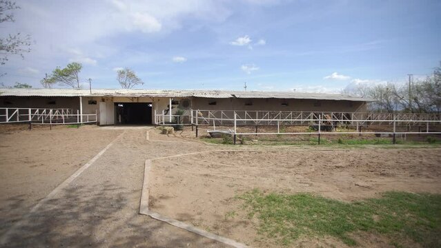 horse farm in the turkmenistan