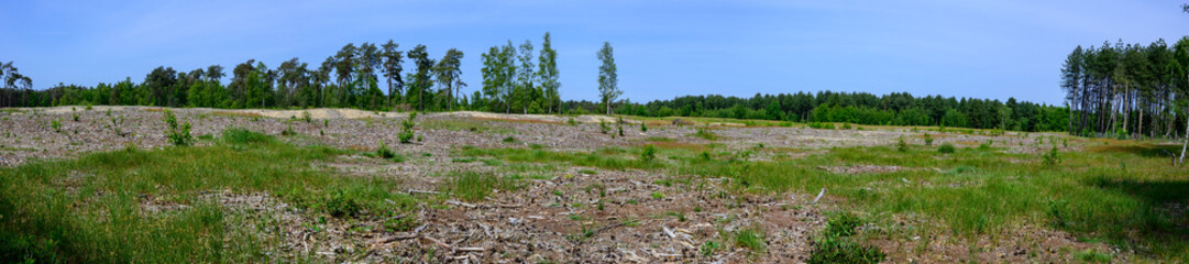 Fototapeta na wymiar Panorama photo of a landscape that is being redeveloped to create more diversity