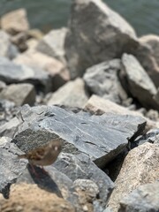 stone wall