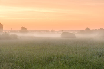 Thick fog over the meadow and trees at dawn. Foggy landscape on a summer morning.