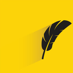feather with shadow on yellow background